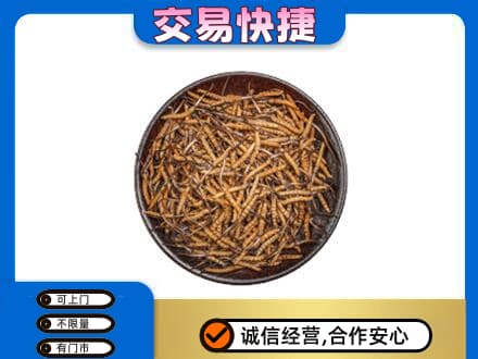 信阳高价回收散虫草